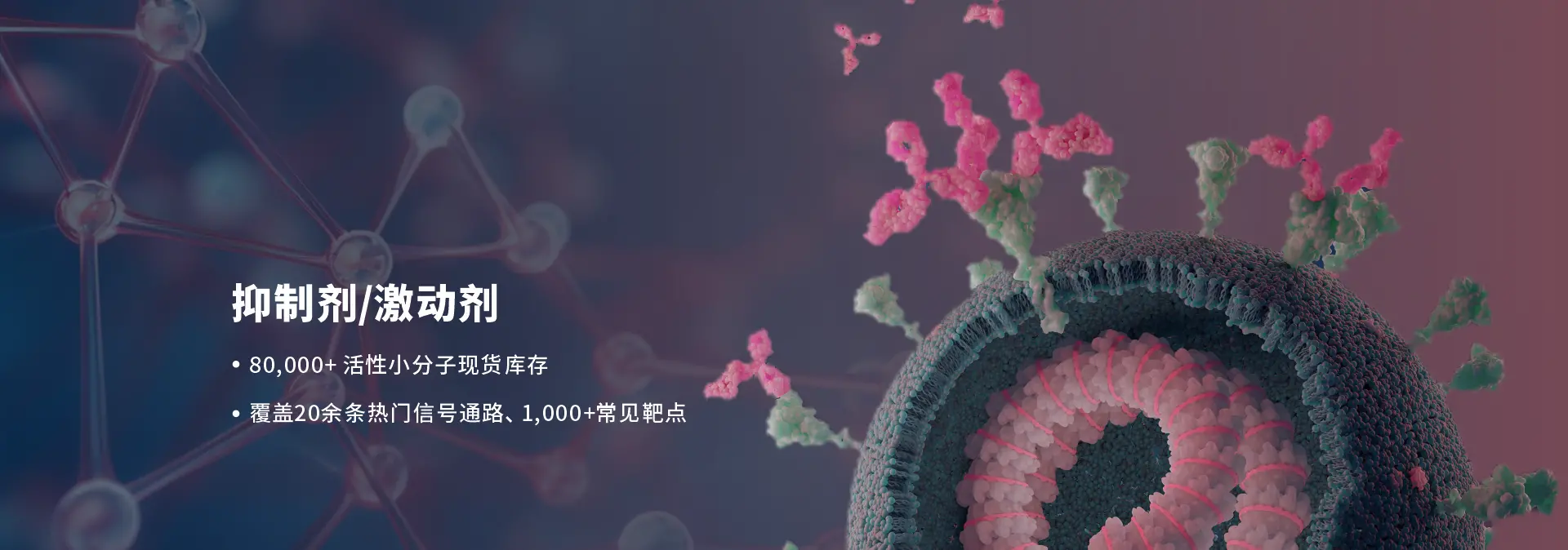 TargetMol为众多的药物研发团队赋能，让新药发现更简单！